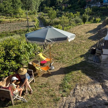 Quinta Da Peca Douro Vinhateiro Vila Real Dış mekan fotoğraf