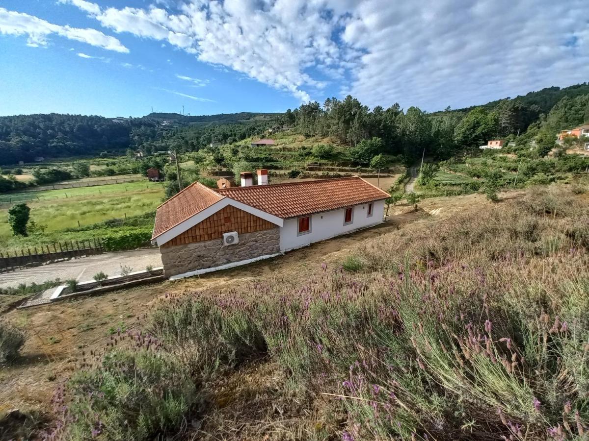 Quinta Da Peca Douro Vinhateiro Vila Real Dış mekan fotoğraf