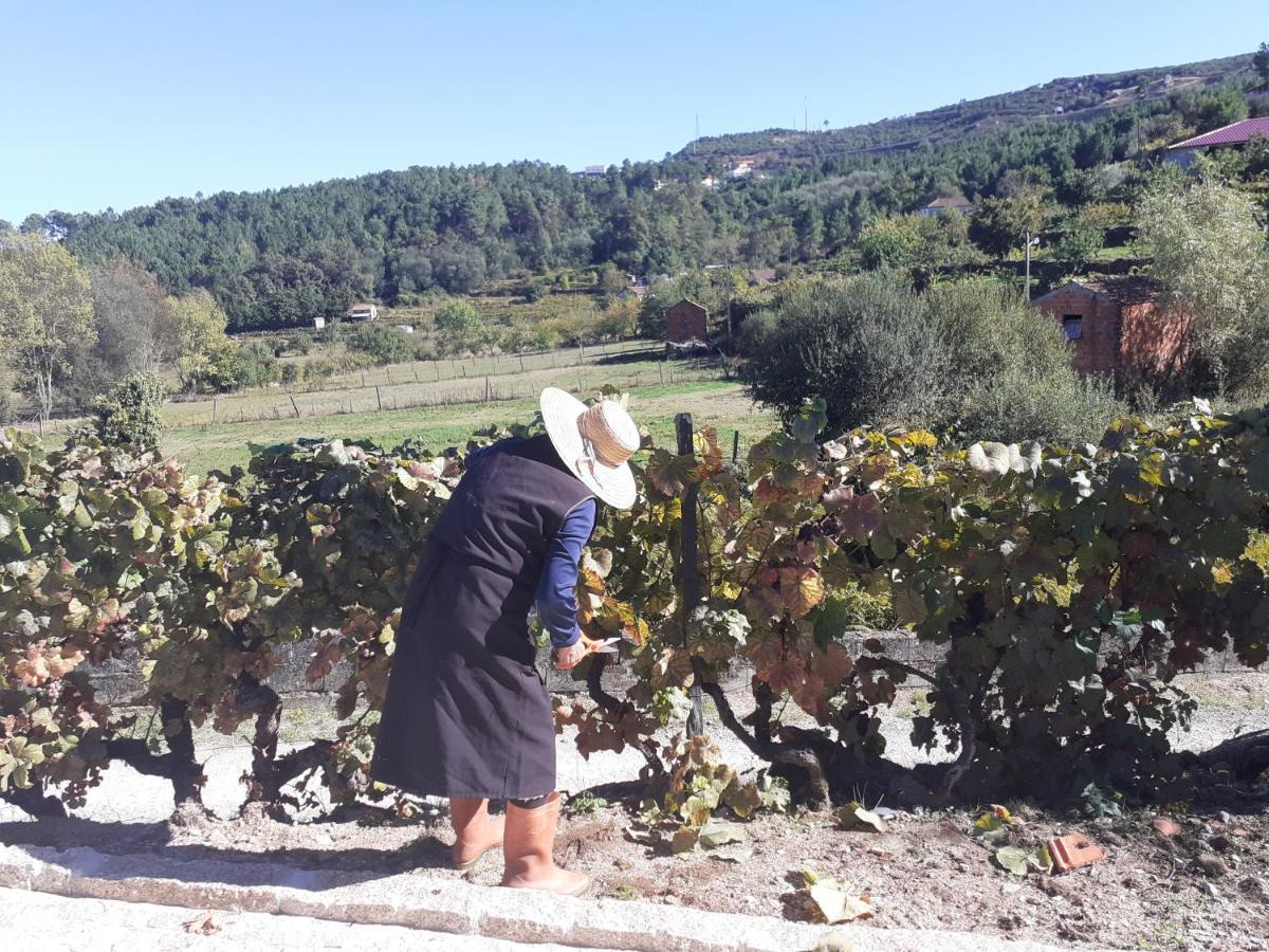 Quinta Da Peca Douro Vinhateiro Vila Real Dış mekan fotoğraf