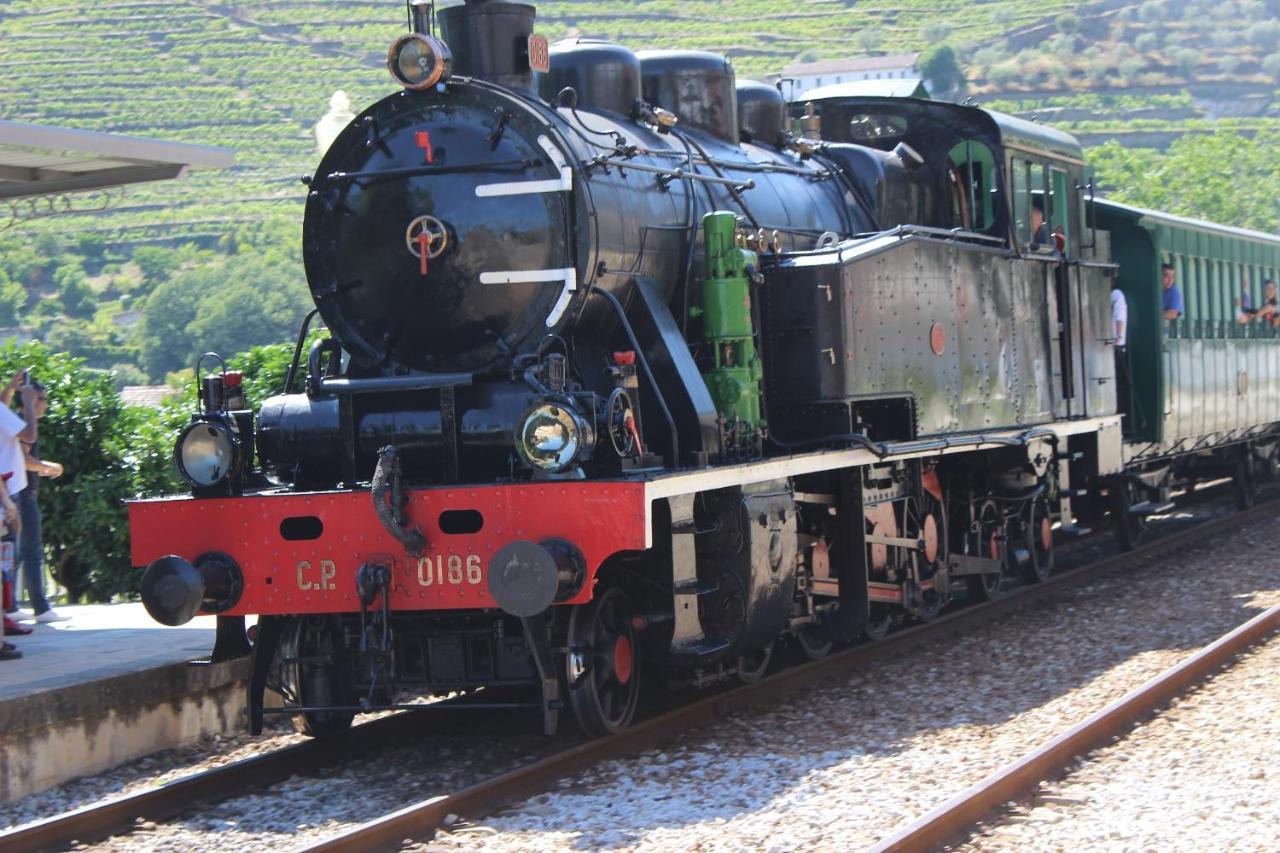 Quinta Da Peca Douro Vinhateiro Vila Real Dış mekan fotoğraf