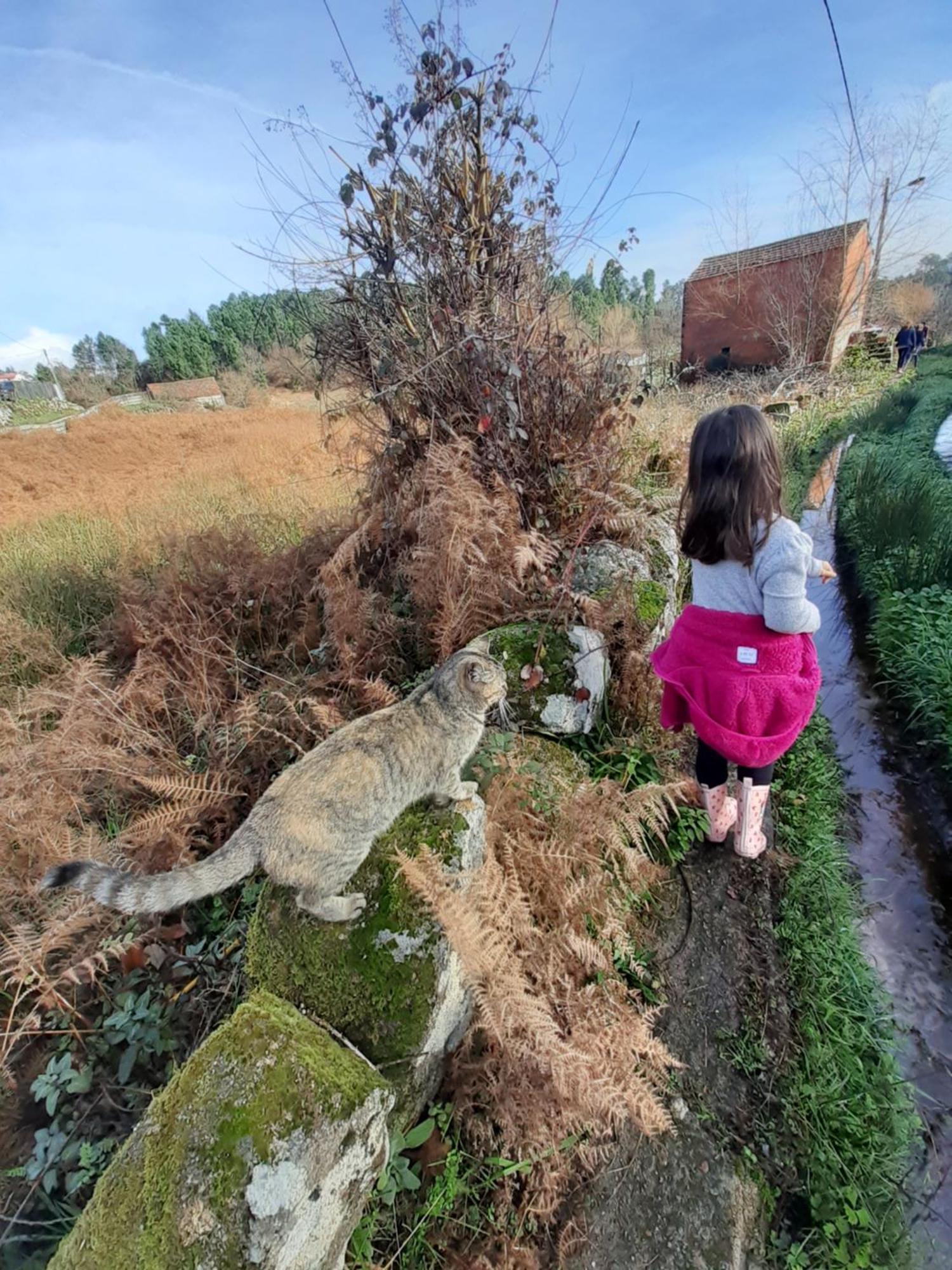Quinta Da Peca Douro Vinhateiro Vila Real Dış mekan fotoğraf