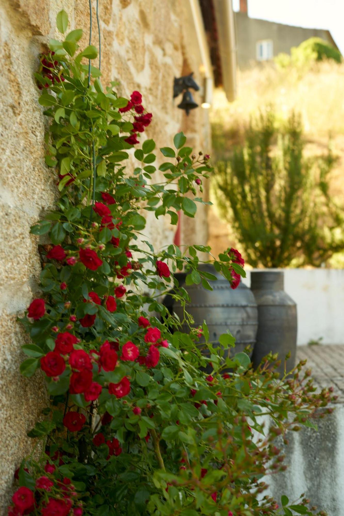 Quinta Da Peca Douro Vinhateiro Vila Real Dış mekan fotoğraf